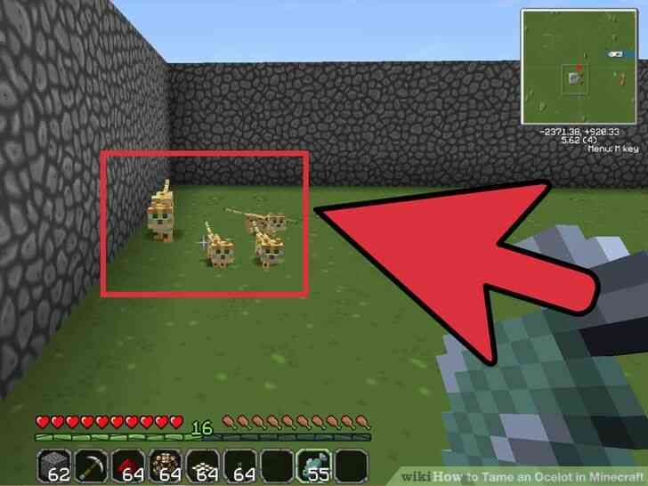 Image intitulé Apprivoiser un Ocelot dans Minecraft Étape 8
